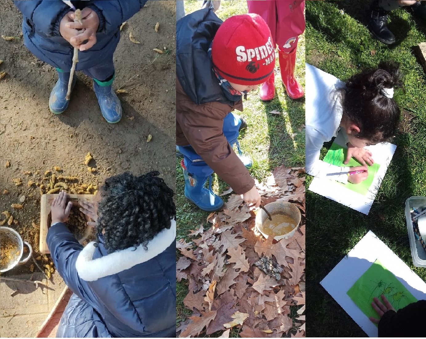 Immagine dell'informazione GIARDINI EDUCATIVI